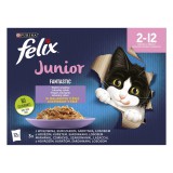 Purina Felix Fantastic Junior vegyes válogatás aszpikban - nedves macskaeledel 12 x 85 g