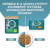 Purina One Indoor Formula pulykában és teljes kiőrlésű gabonákban gazdag száraz macskaeledel 0,8 kg