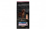 Purina PRO PLAN Large Athletic Adult SENSITIVE SKIN lazacban gazdag száraz kutyaeledel 14kg