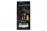 Purina PRO PLAN Large Robust Adult EVERYDAY NUTRITION csirkében gazdag száraz kutyaeledel 14kg