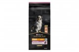 Purina PRO PLAN Medium & Large Adult 7+ SENSITIVE SKIN lazacban gazdag száraz kutyaeledel 14kg