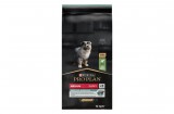 Purina PRO PLAN Medium Puppy SENSITIVE DIGESTION bárányban gazdag száraz kutyaeledel 12kg