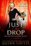 Quinn Loftis Books, LLC Quinn Loftis: Just One Drop - könyv