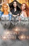 Quinn Loftis Books, LLC Quinn Loftis: The Grey Wolves Novella Collection - Books 1-4: Sacred Silence, Resounding Silence, Piercing Silence, and Forgotten Silence (The Grey Wolves Series) - könyv