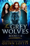 Quinn Loftis Books, LLC Quinn Loftis: The Grey Wolves Series Books 1-6 - könyv