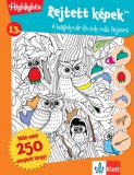 Raabe Klett Kft. Elmer István: Rejtett képek 13. - Bagolyvár és sok más fejtörők - könyv