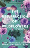 Rainy days Micalea Smeltzer: The Resurrection of Wildflowers - könyv