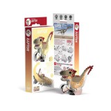 Raptor 3D puzzle (EUGY)
