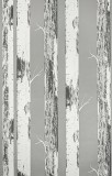 Rasch Szürke alapon nyirfa mintás tapéta (285420)