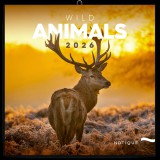 Realsystem 2026 Wild Africa 6097-WA falinaptár