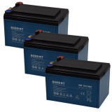RedDot 12V 14Ah Ciklikus zselés akkumulátor elektromos kerékpárba sarus csatlakozással 36V-os csomag ingyen szállítással