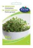 Rédei Kertmag Zrt. Réde Bio Brokkoli Csíráztatásra 15 g