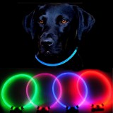 Reedog Full Light világító nyakörv kutyáknak - piros - S