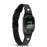 Reedog S1 | Ugatásgátló nyakörv