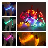 Reedog világító hám kutyáknak és macskáknak