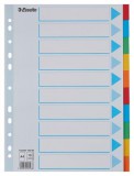 Regiszter, karton, A4, 10 részes, írható előlappal, ESSELTE Standard, színes (E100193)