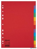 Regiszter, karton, A4, 12 részes, ESSELTE "Economy", színes