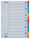 Regiszter, karton, A4, 12 részes, írható előlappal, ESSELTE Standard, színes (E100194)