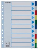 Regiszter, műanyag, A4, 10 részes, ESSELTE