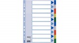 Regiszter, műanyag, A4, 10 részes, ESSELTE