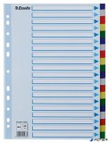 Regiszter, műanyag, A4, 20 részes, ESSELTE