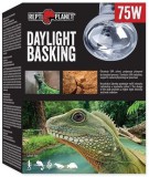 Repti Planet Daylight Basking All in One - Természetes nappali fényt sugárzó izzó (75 W)