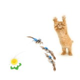 Repülő madár macskajáték