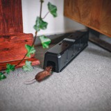 RIASZTÓS AUTOMATA EGÉRFOGÓ ÁLLOMÁS ZÁRHATÓ EGÉRCSAPDA