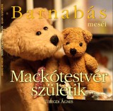 Ring-Color Kft. Telegdi Ágnes: Barnabás meséi - Mackótestvér születik - könyv
