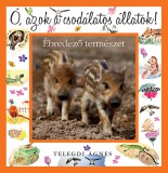 Ring-Color Kft. Telegdi Ágnes: Ó, azok a csodálatos állatok! - Ébredező természet - könyv