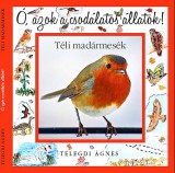 Ring-Color Kft. Telegdi Ágnes: Téli madármesék - könyv
