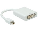 Roline mini DisplayPort - DVI M/F átalakító