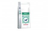 Royal Canin Adult Small Dog - száraz gyógytáp kistestű felnőtt kutyák részére 2 kg