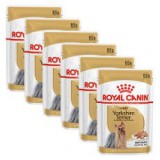 ROYAL CANIN ADULT YORKSHIRE 6 x 85 g