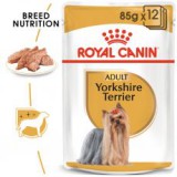 ROYAL CANIN ADULT YORKSHIRE 85 g - alutasak