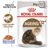 Royal Canin AGEING +12 alutasak 85g