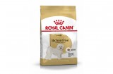 ROYAL CANIN BICHON FRISE ADULT - Bichon Frise felnőtt kutya száraz táp 0,5 kg