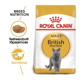 Royal Canin British Shorthair Adult - Brit rövidszőrű felnőtt macska száraz táp 10 kg