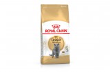 ROYAL CANIN BRITISH SHORTHAIR ADULT - Brit rövidszőrű felnőtt macska száraz táp 2 kg