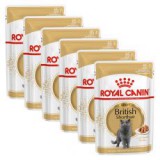 Royal Canin British Shorthair - alutasak, 6 x 85g