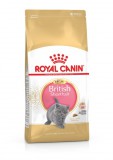 Royal Canin British Shorthair kitten 0,4kg száraz macskatáp