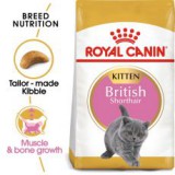 Royal Canin British Shorthair Kitten - 2 kg