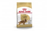 ROYAL CANIN COCKER ADULT - Cocker Spániel felnőtt kutya száraz táp 3 kg