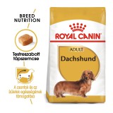 Royal Canin Dachshund Adult - Tacskó felnőtt kutya száraz táp 0,5 kg