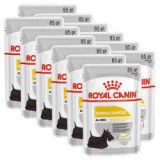 Royal Canin Dermacomfort Dog Loaf alutasakos pástétom bőrproblémákkal küzdő kutyák számára 12 x 85 g