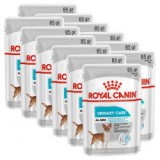 Royal Canin Dermacomfort Dog Loaf alutasakos pástétom veseproblémákkal küzdő kutyák számára 12 x 85 g