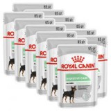 Royal Canin Digestive Care Dog Loaf alutasakos pástétom érzékeny emésztőrendszerű kutyák számára 12 x 85 g