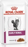 Royal Canin Early Renal macskáknak 12x85 g