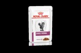 Royal Canin Early Renal  - nedves gyógytáp krónikus veseelégtelenség korai jeleit mutató macskák számára 85 g