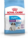 ROYAL CANIN GIANT PUPPY -  óriás testű kölyök kutya száraz táp 3,5 kg